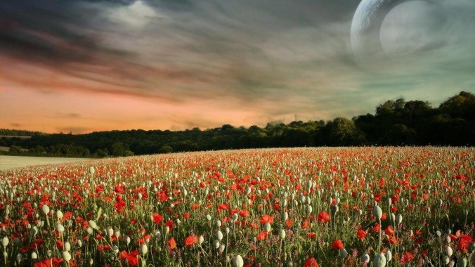 为什么欧美影视喜欢露点？